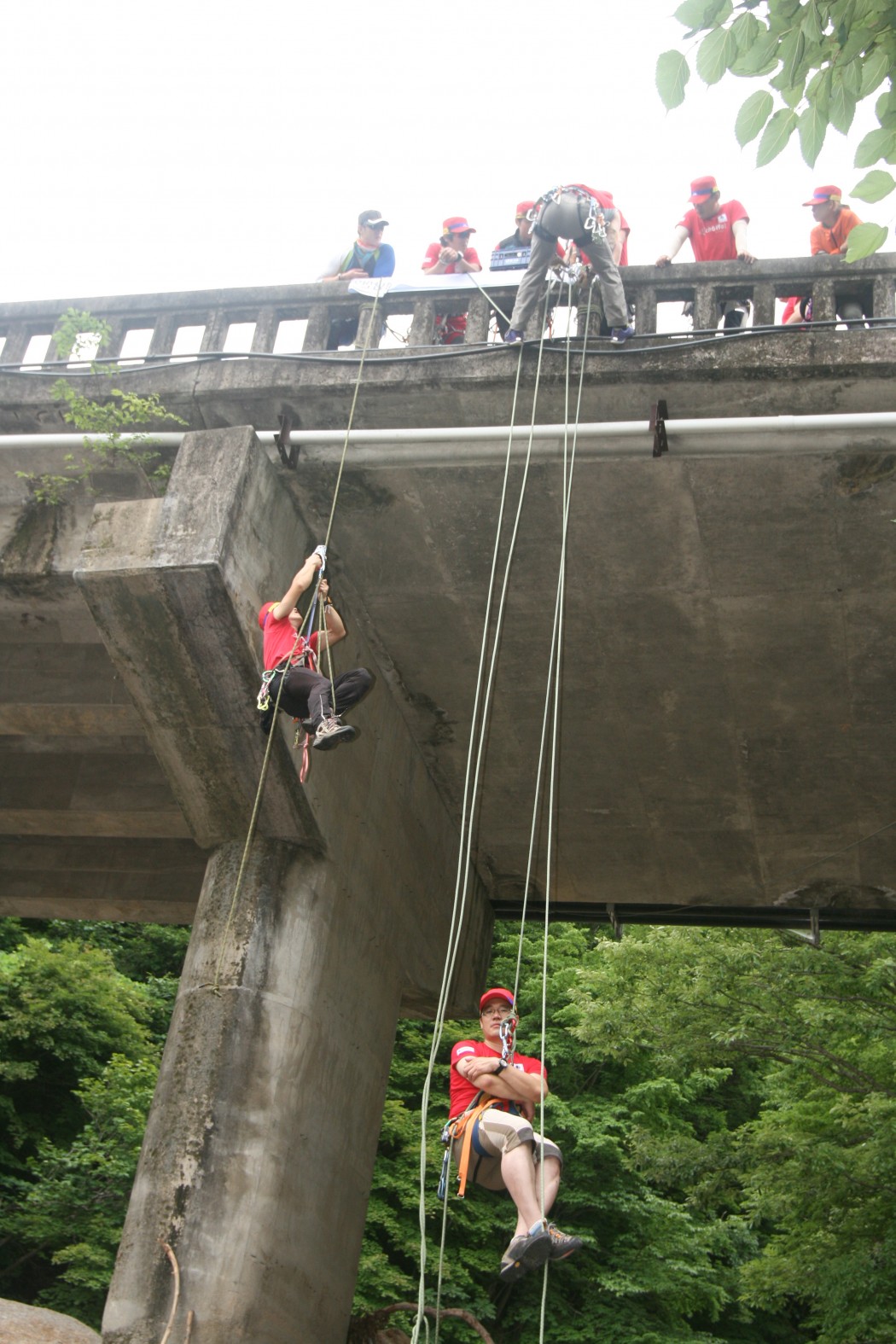 cebbe10cdc3e598b6dd46dd08fdfb1f7_1611376761_3685.jpg